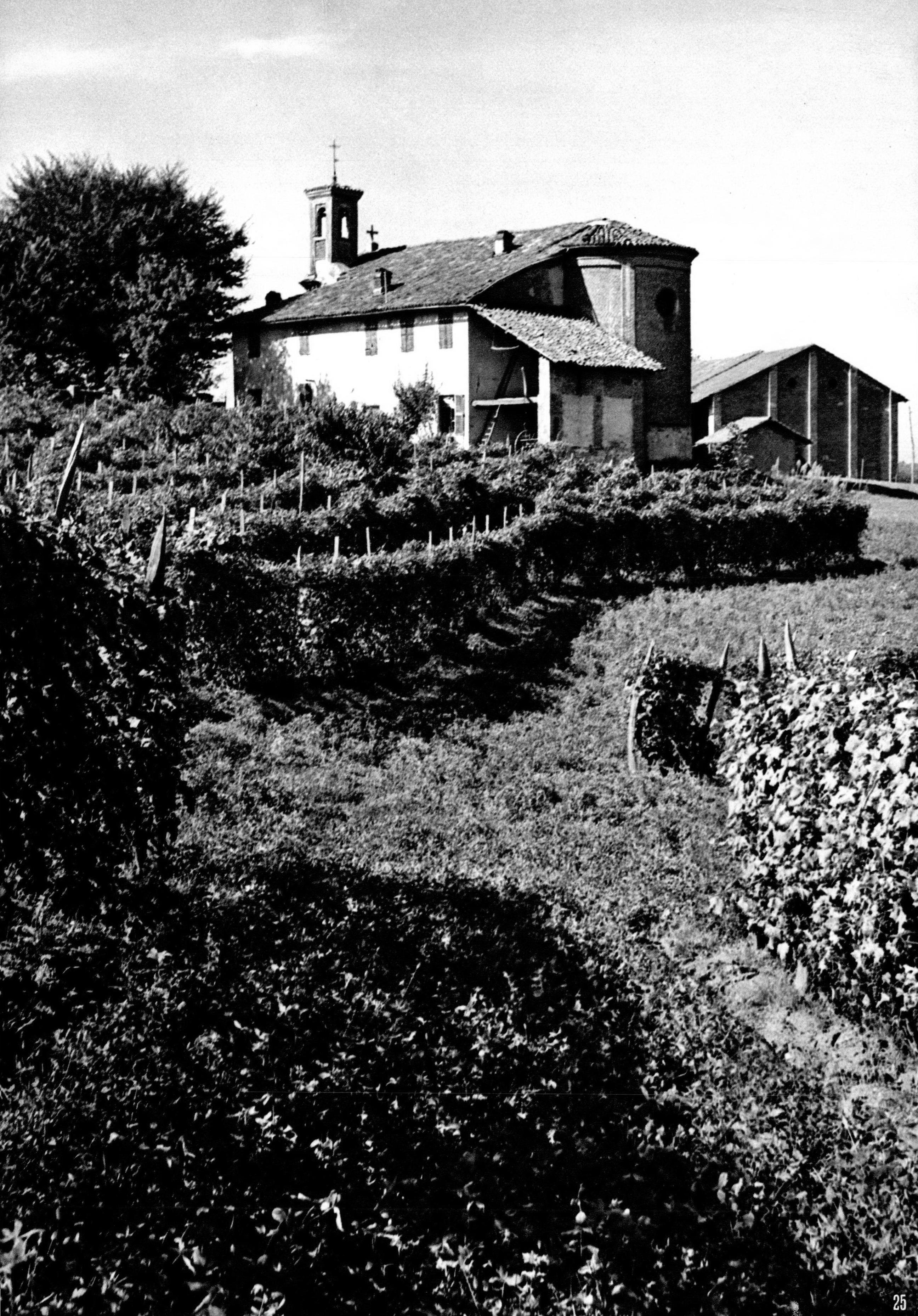 Foto - 25
