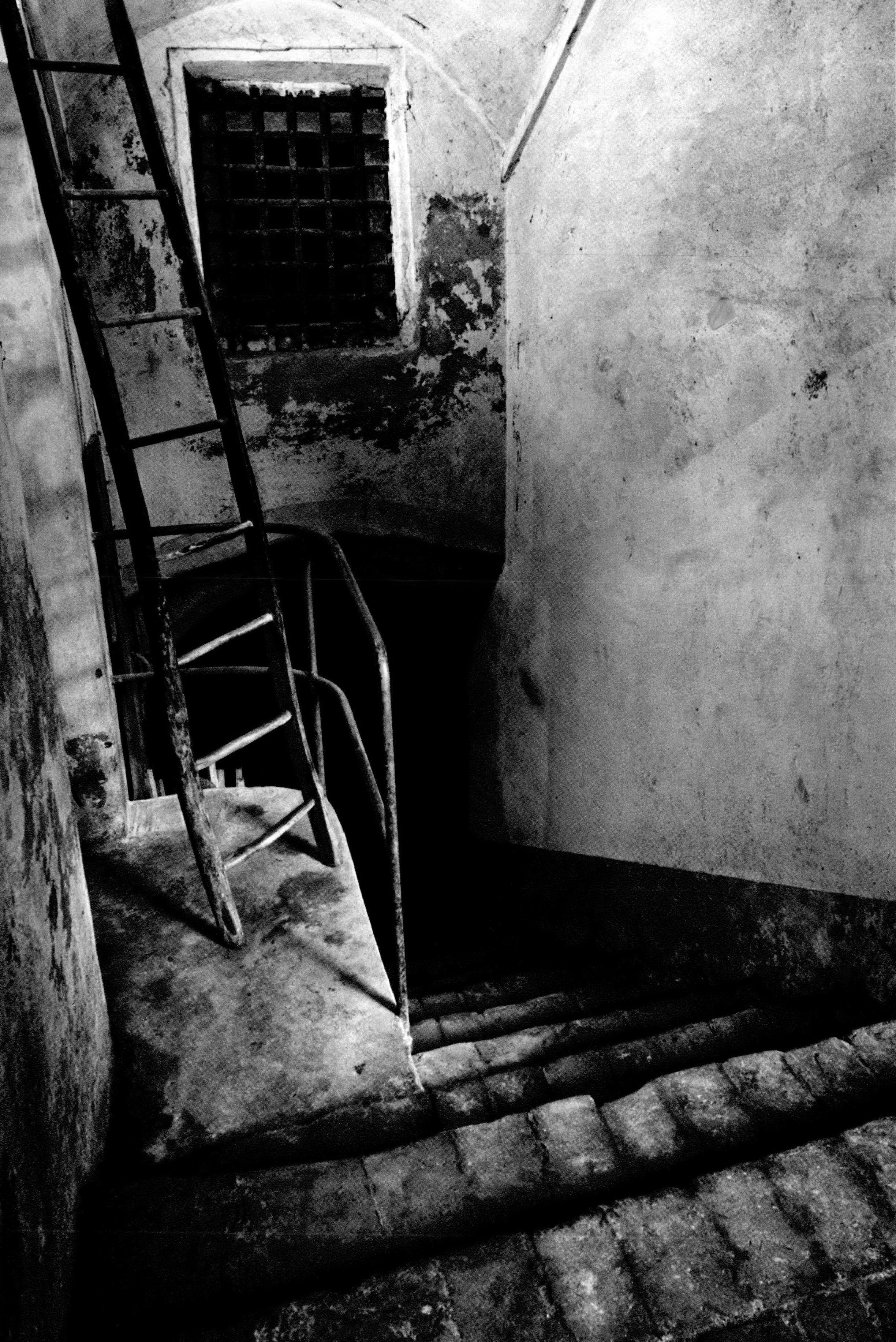 Foto - 31